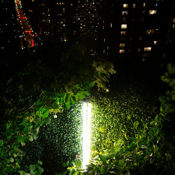 City Lights