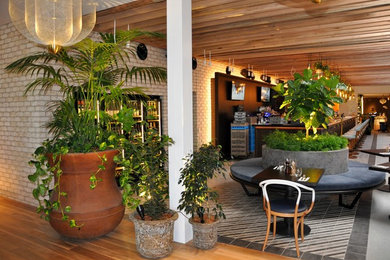 Jupiters Botanica Garden Kitchen and Bar