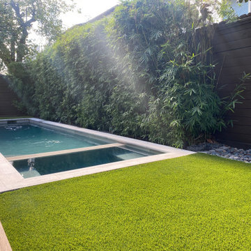 Montrose Pool/Lawn/Deck