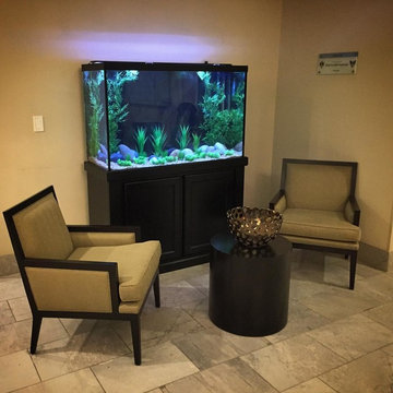 110 Gallon Freshwater Hospice aquarium