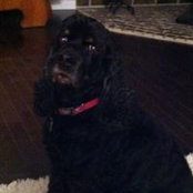 Donna Alander's photo
