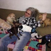 Debbie Merrell's photo