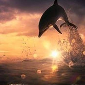Carol Pepper's photo