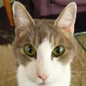 Cassie Edmonds's photo