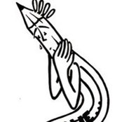 Aurelie Delacourt's photo