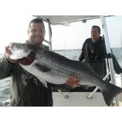 Michael Erli's photo