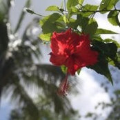 Lisa Siegfried's photo