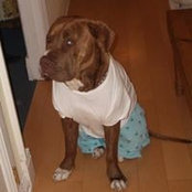 Andrew Garrett's photo