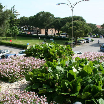 Copertura a verde pensile