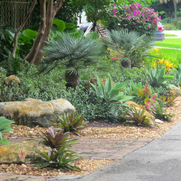 Tropical Garden in front yard