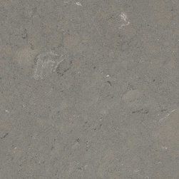 Fossil Gray - Q Premium Natural Quartz - Kitchen Countertops