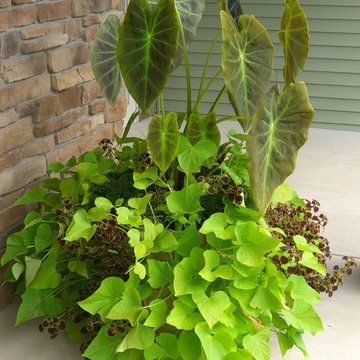 Parade of Homes 2012