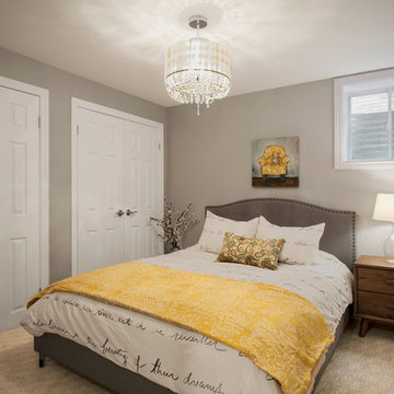 Full Basement Renovation