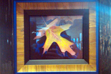 2011 PPFA print competition framing - Leaf photo print