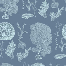 Beach House