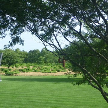 Long Island Residence