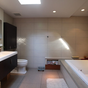 Jackson Park mid-century modern remodel