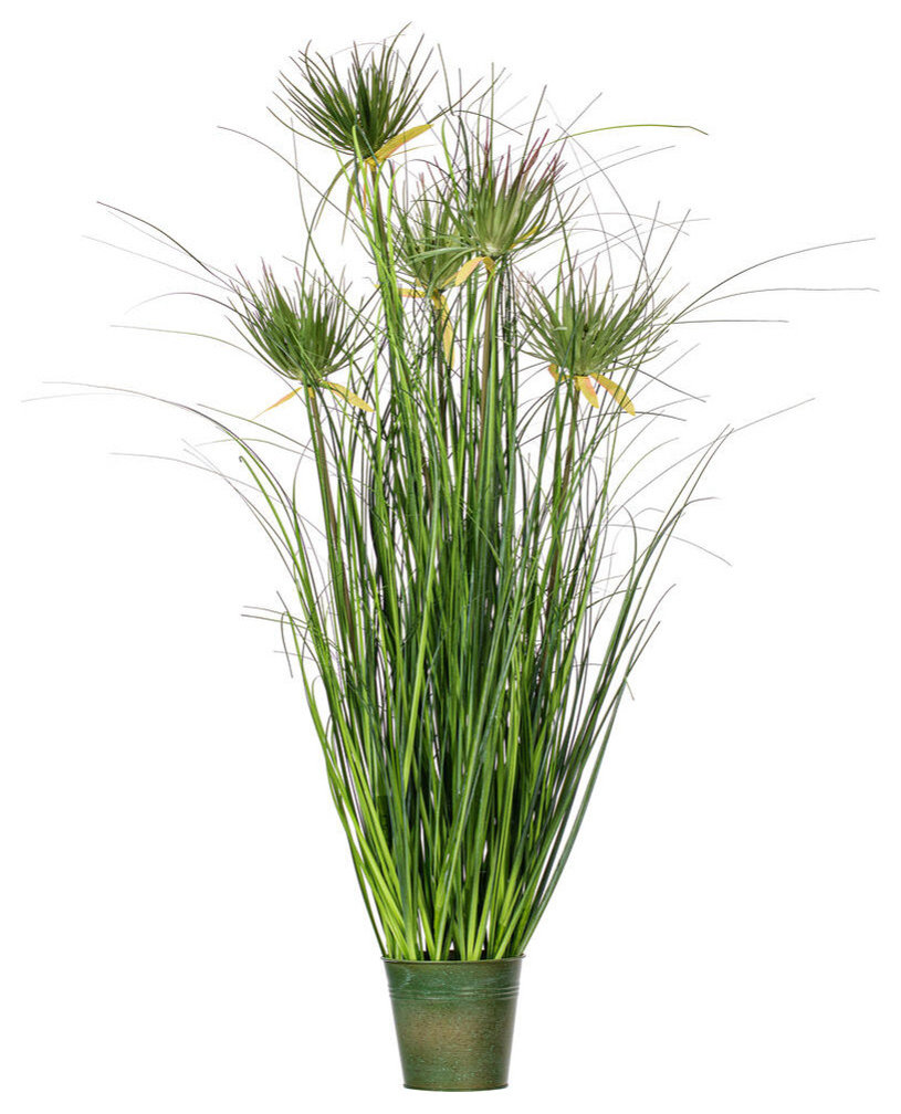 Vickerman Green Cyperus Grass In Iron Pot, 36