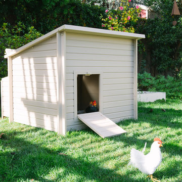 Chicken Coop for Urban Farming