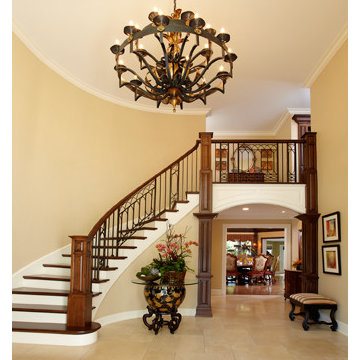 Stunning Entry to Hinsdale Home