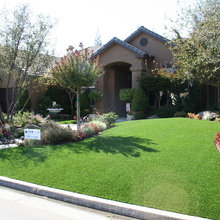 Front Yard