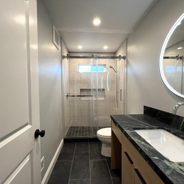 Lassen Contemporary Guest Bath