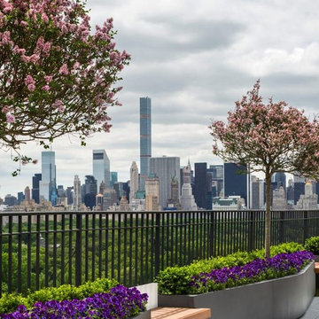 Central Park West Penthouse Terrace