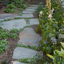 Side Yard