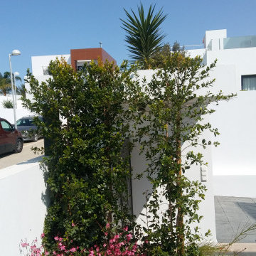 Jardín costero en Conil