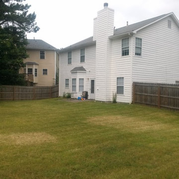 Lawn Maintenance & shrub trimming