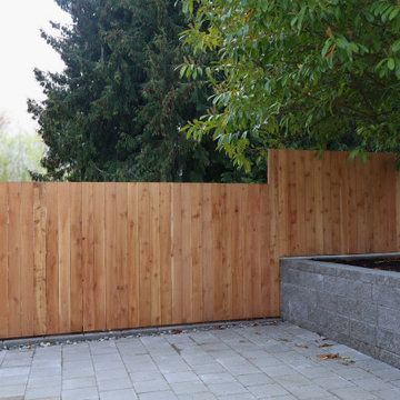 Backyard transformation project