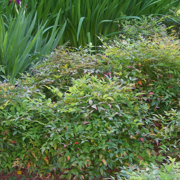 Plantings