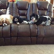 Sandy Wucki's photo