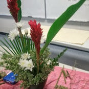 monika shaikher's photo