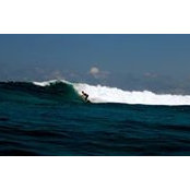 Martin Rishovd's photo