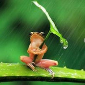 Kim Celano's photo