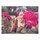 Kimberly Tan