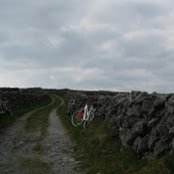 Elizabeth McLees's photo