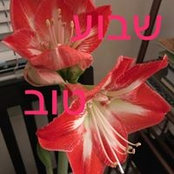 Lisette Garcia's photo