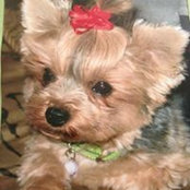 Linda K. Rosenbaum's photo