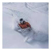 Dave White's photo