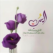 Foto von مروة الشافعي