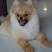 Melissa Liew's photo