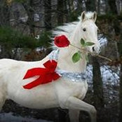 Lynda Dicob-Niles's photo