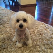 Foto de Daisy Di
