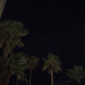 Anne Harting's photo