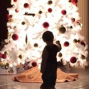Melissa Winborn's photo