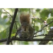 Margie Burns's photo