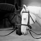 Foto von Debby Braiman