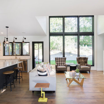Abramson Residence